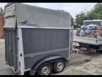 Transport animale