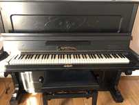 Pianina Germania