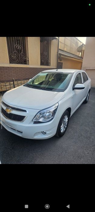 Cobalt 2025 noyabr style