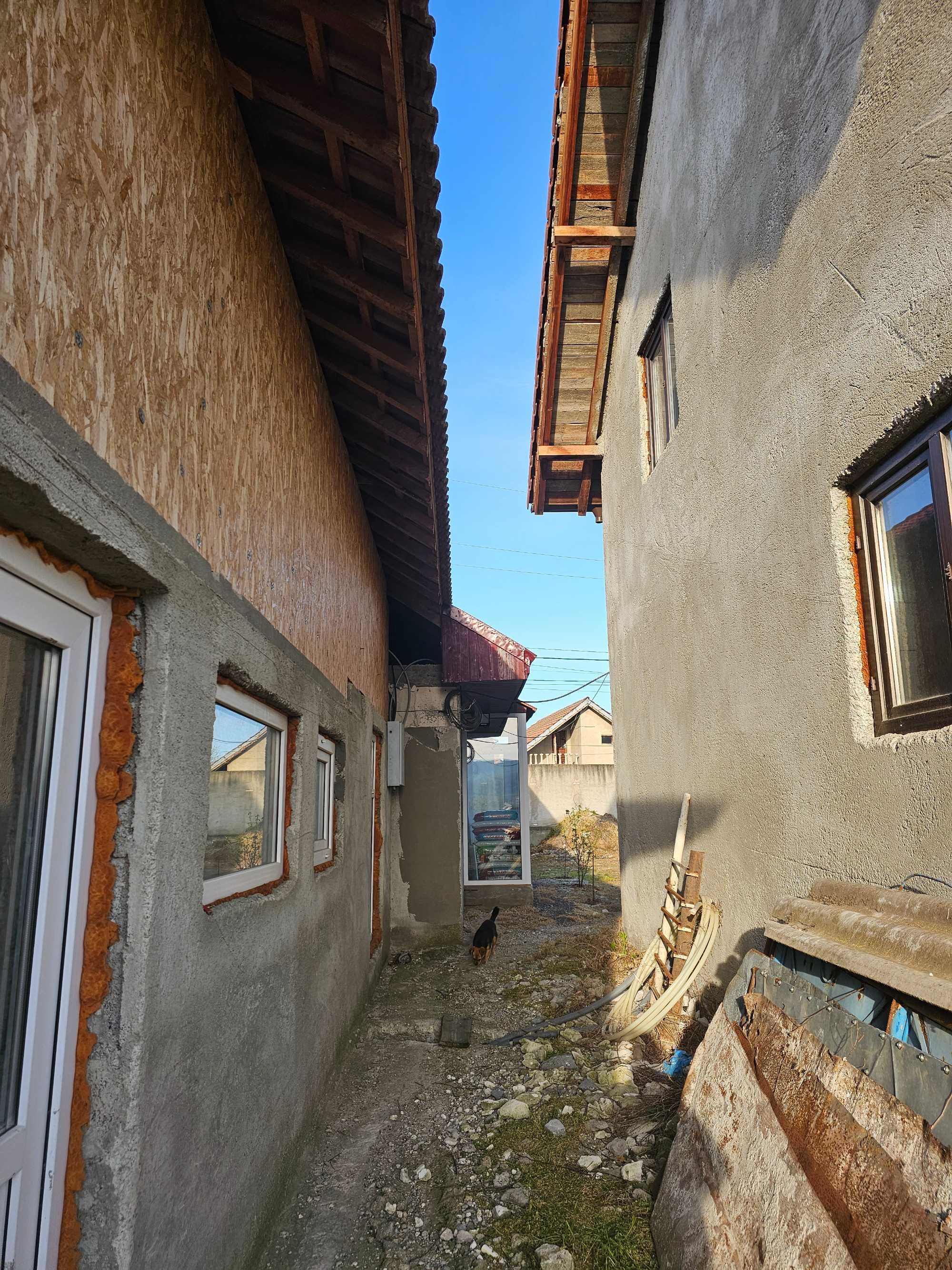 Casa + dependinte in Sat Halanga Mehedinti
