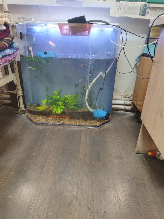 Акриловы аквариум