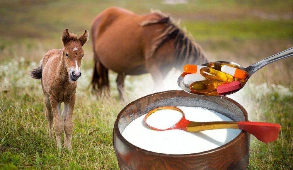 Саумал кобылье молоко