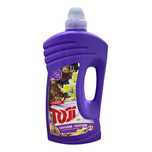Pachet Promo 2x Toji Carpet- Covoare si Tapiterii, 1 L