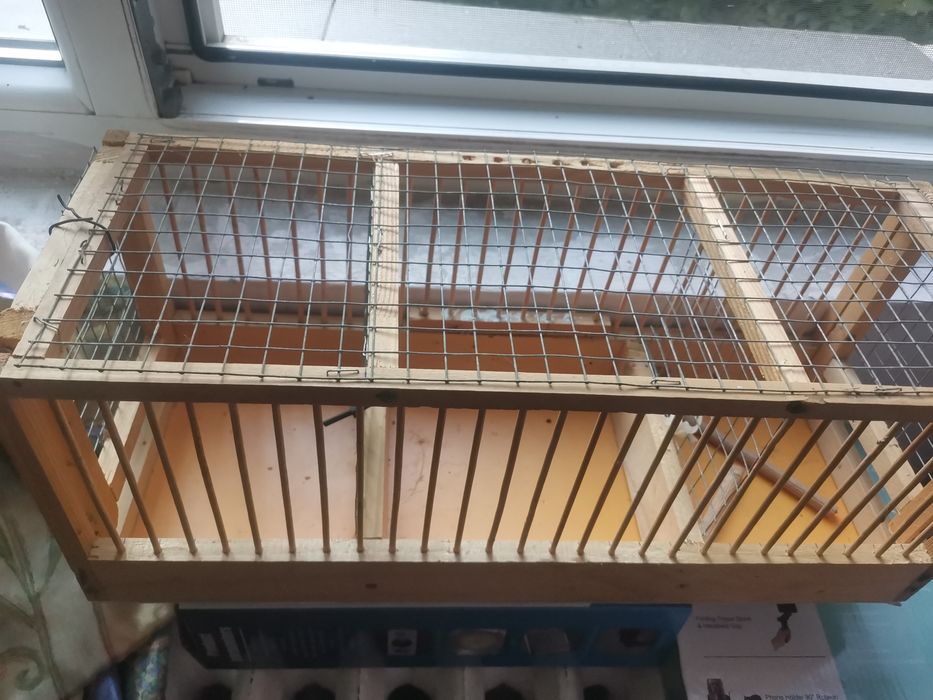 Colivie prindere pasari