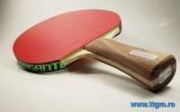 Paleta tenis de masa (ping pong) andro ligna all/Rasanter