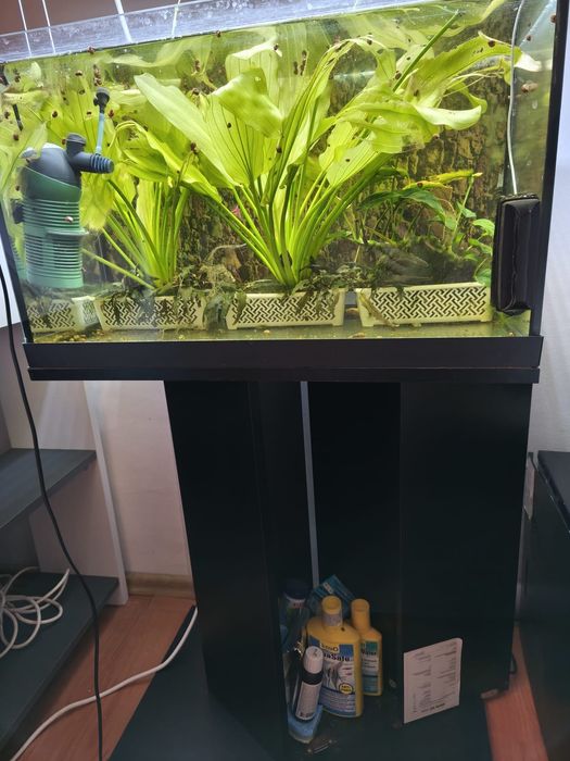 Acvariu 64 L,complet funcțional și utilat