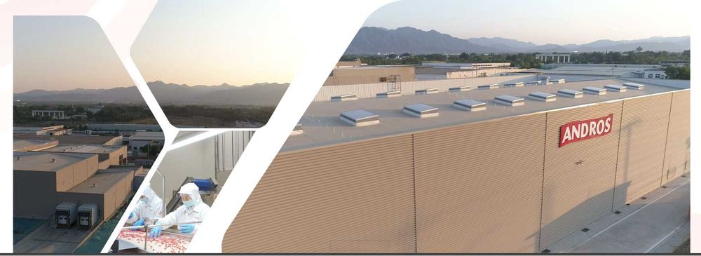 Замороженное фруктовое пюре Andros. Официальный дистрибьютор!