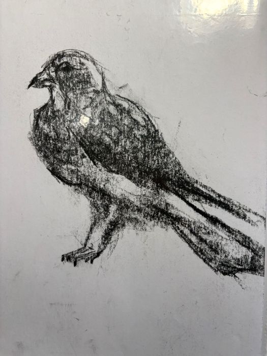 Скици с въглен 106 броя