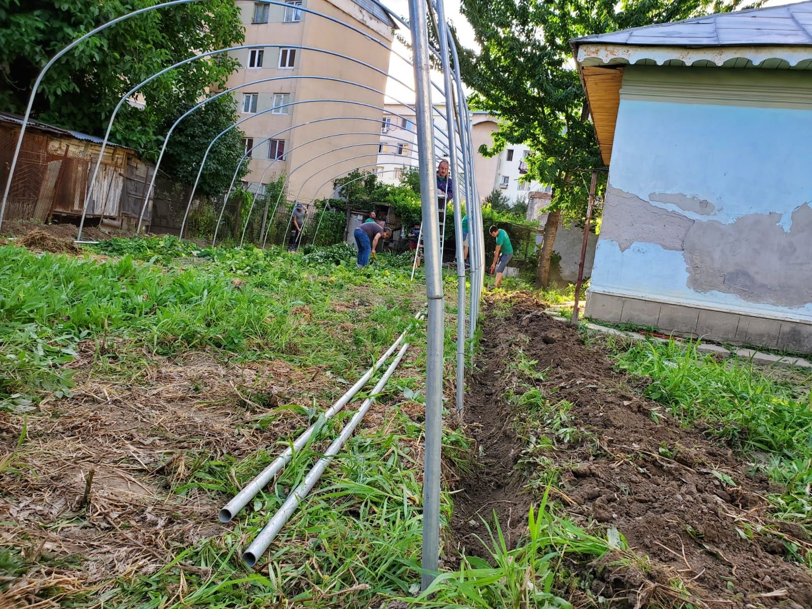 Solarii profesionale pentru gradina