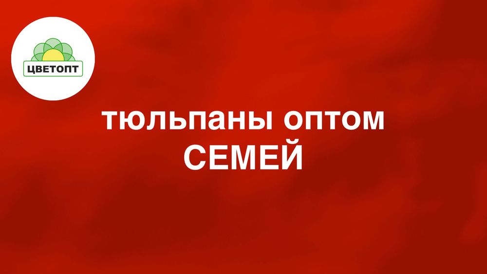 Тюльпаны оптом Семей