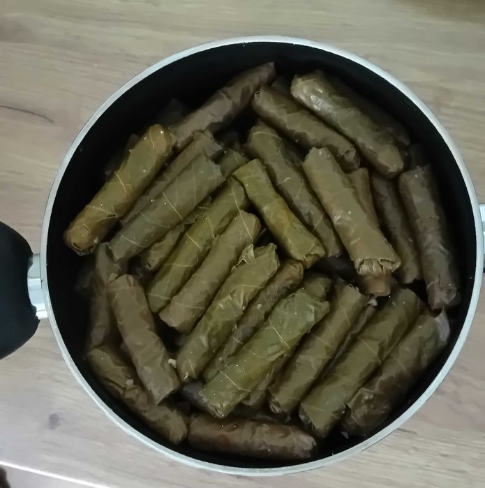 Домашни Лозови листа