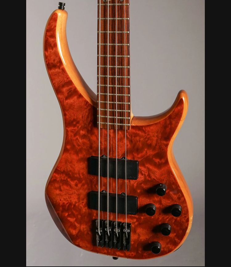 Peavey Cirrus BXP 4 Bubinga Gloss