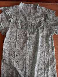 Bluza, coccodrillo, 146