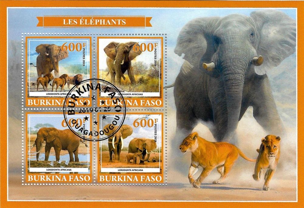 Super timbre colita stampilata Burkina Faso, fauna, animale, ELEFANTUL