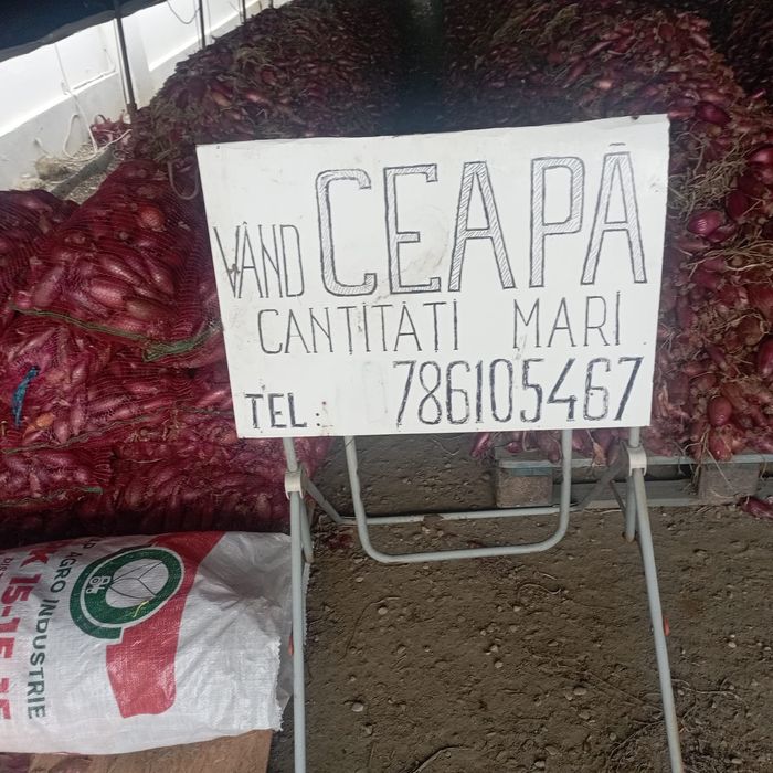 Vând ceapă roșie de apa, cantități mari!