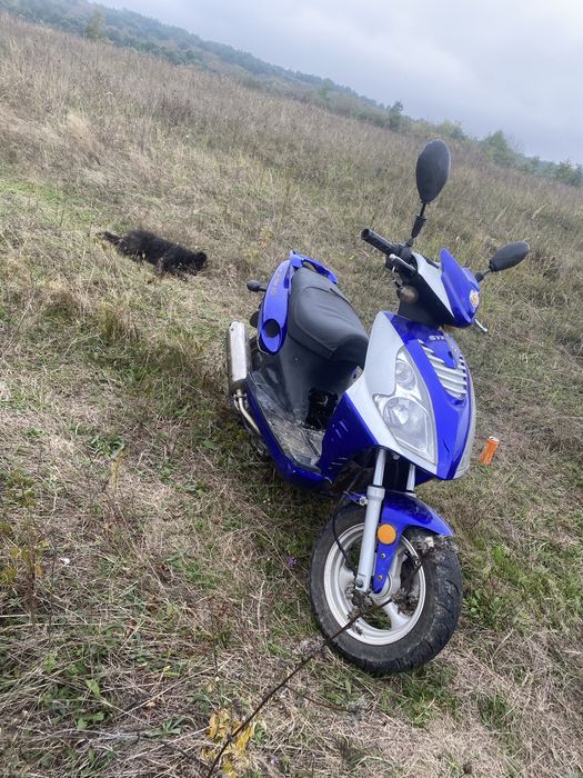 Vand sau schimb scuter 50cc 2t