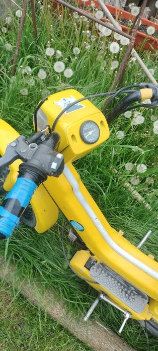 Vand  scuter   Piaggio