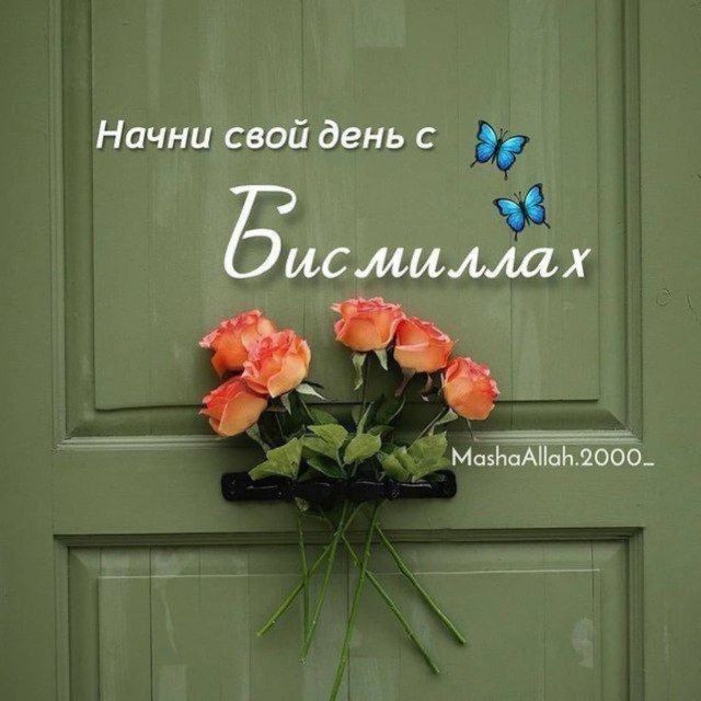 Кафель ва косметика ишларни кламан