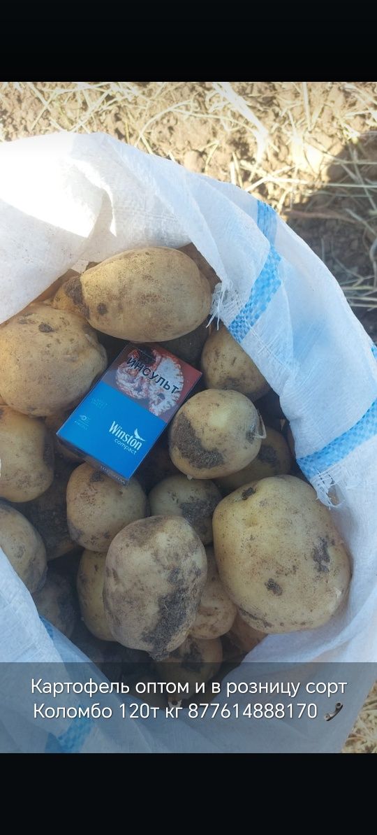 Продам картофель