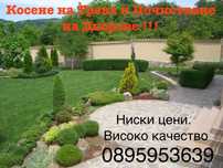 Косене на Трева и Почистване на Дворове