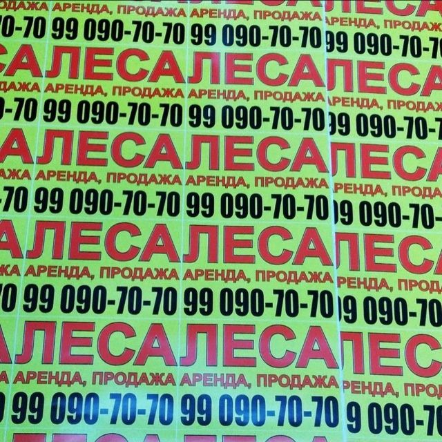 леса аренда леса сотув бор