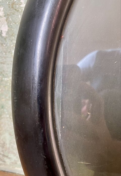 Tablou Garoafe de H. Buchner (Munchen) print