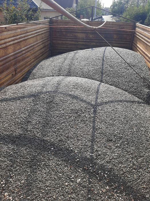 Floarea soarelui