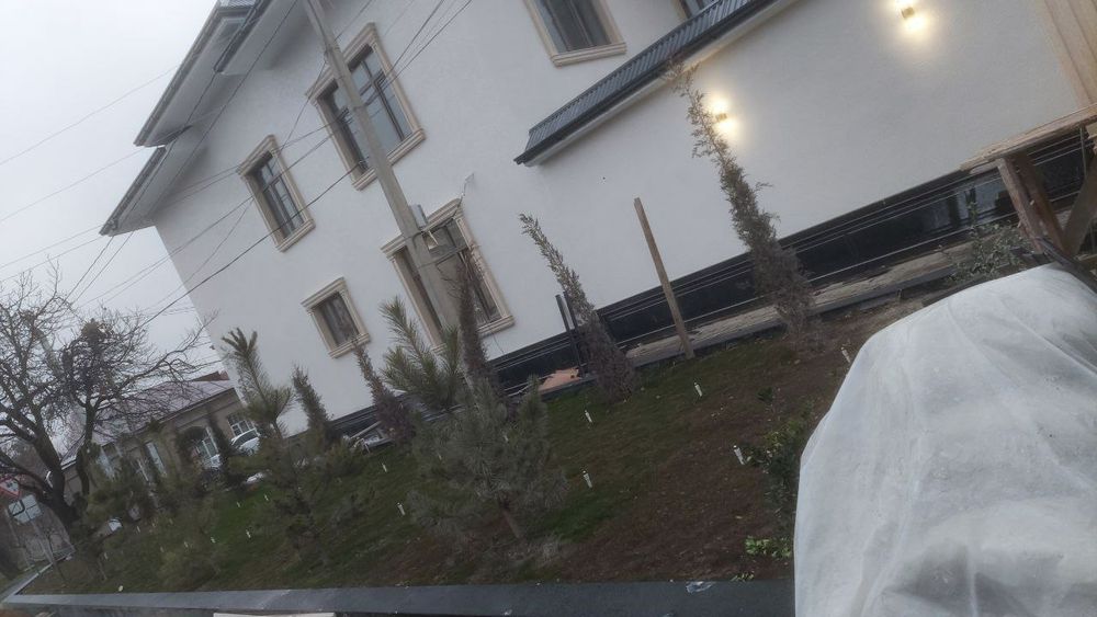 Сокол травинтин пирила