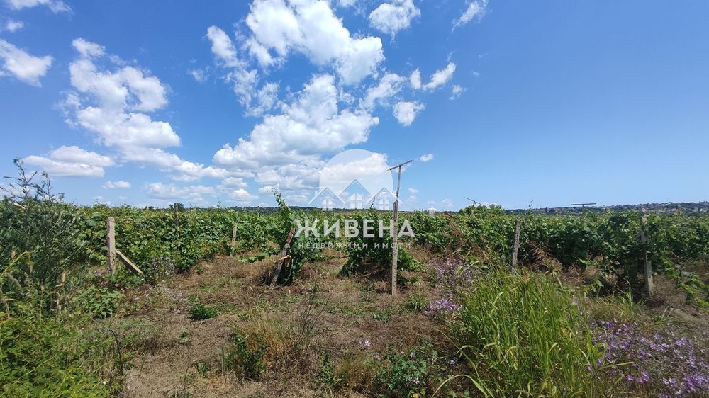 Продава се Парцел в Варна, м-т Боровец - юг - 2925 кв.м за 6 €/кв.м - Снимка #9