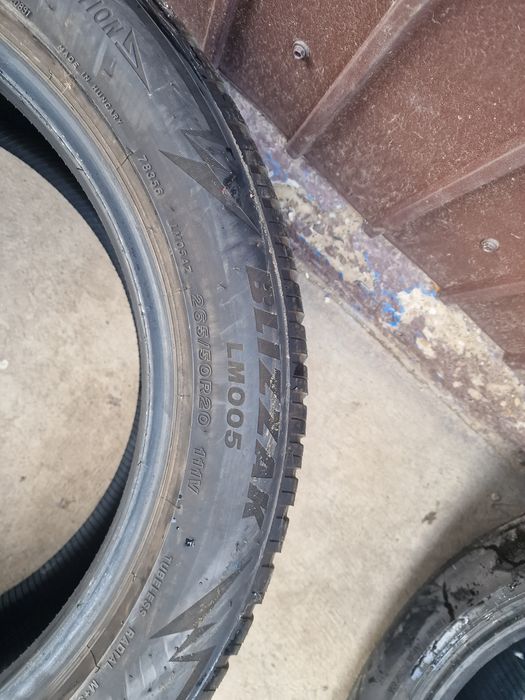 265 50 20 Brigistone dot 2021 OFERTA