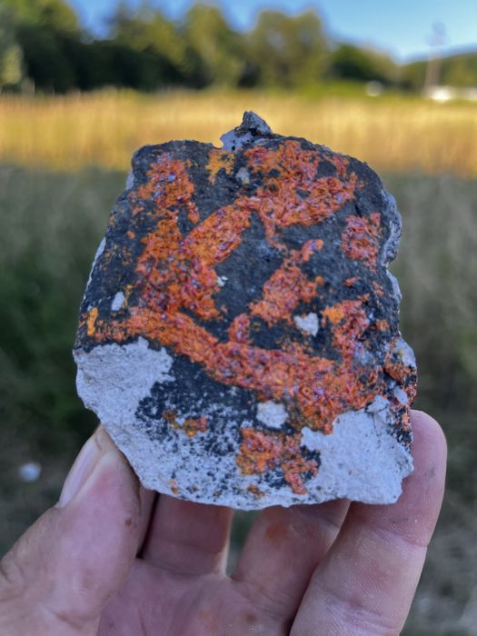 Flori de minâ de vanzare pentru de la la telefon