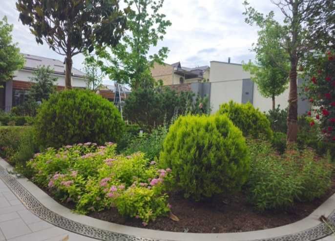 Посадка растений. Уход газонов.