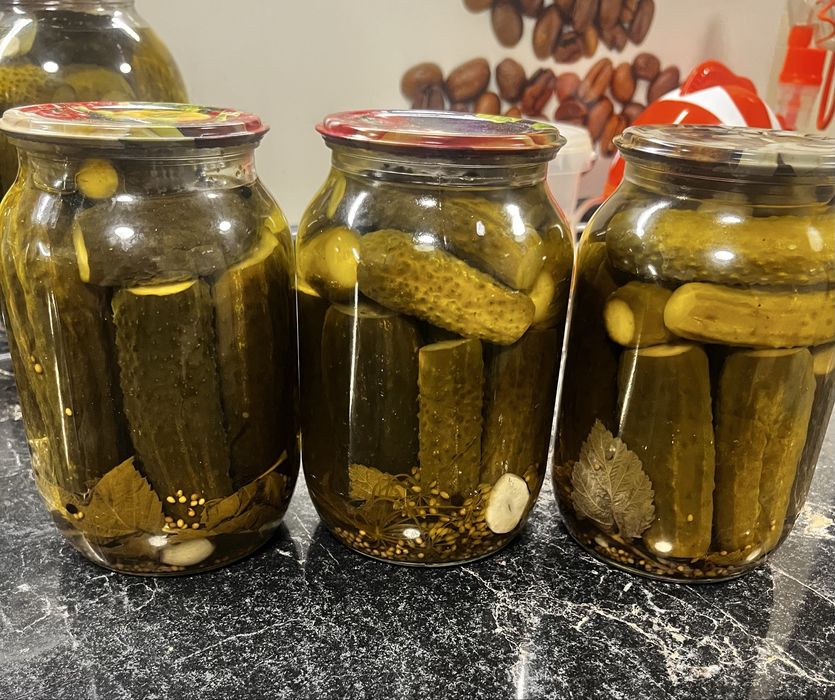 Огурцы соленые, со своего огорода Майкудук