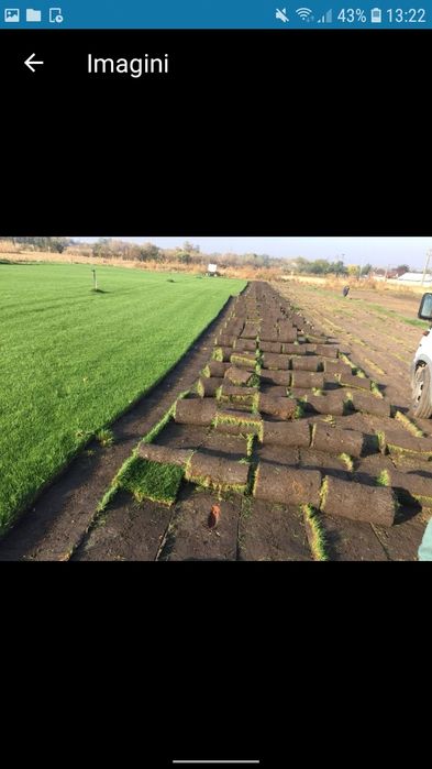 Vând gazon rulou transport si montez in toata țara