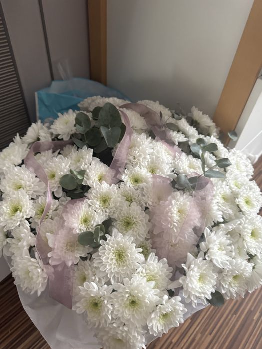 продам цветы сегодняшее ……………………………………………………………