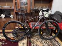 Giant Roam 2 Disc 2024