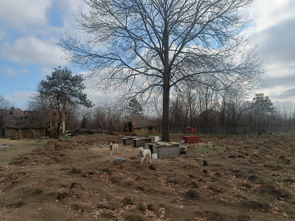 Продава се Къща в с. Бъркачево, Област Враца - 70 кв.м за 474 €/кв.м - Снимка #6