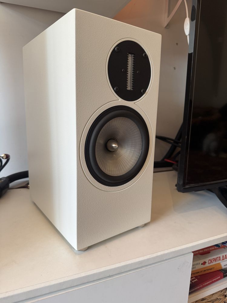 Esthetic Audio RAAL bookshelf speakers