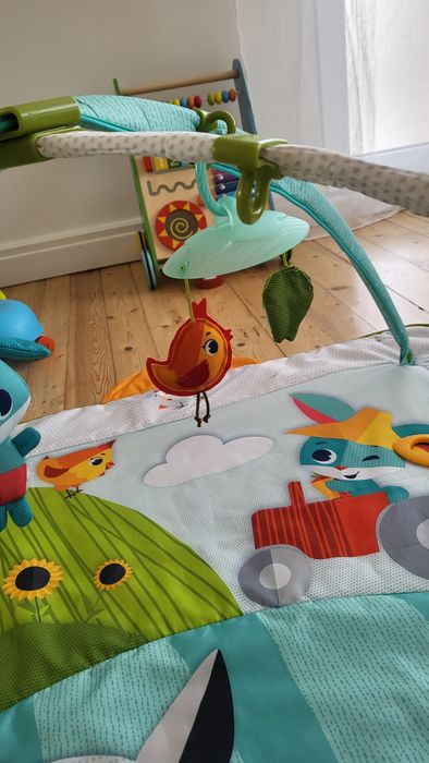 Активна гимнастика Tiny Love Gymini Farm