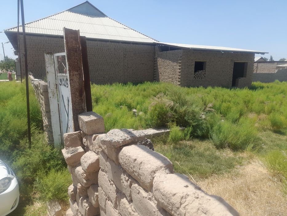 Shoyxuja gubdin 8sotix