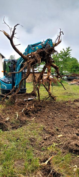 Distantieri cofraje , placi doka,decofrol ,schela si popi metalici