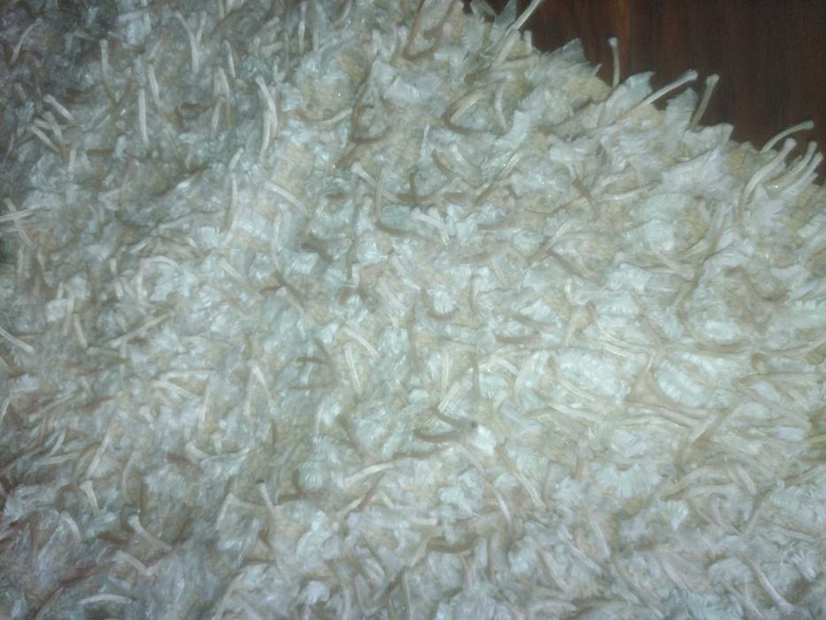 Килими и вълнени черги