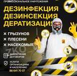 Дезинфексия 24/7