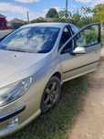 Peugeot 407 2.0 HDI 2004