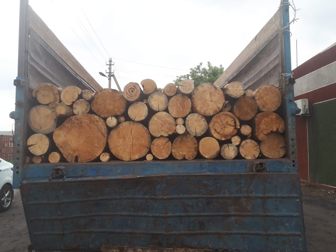 Продам дрова            .
