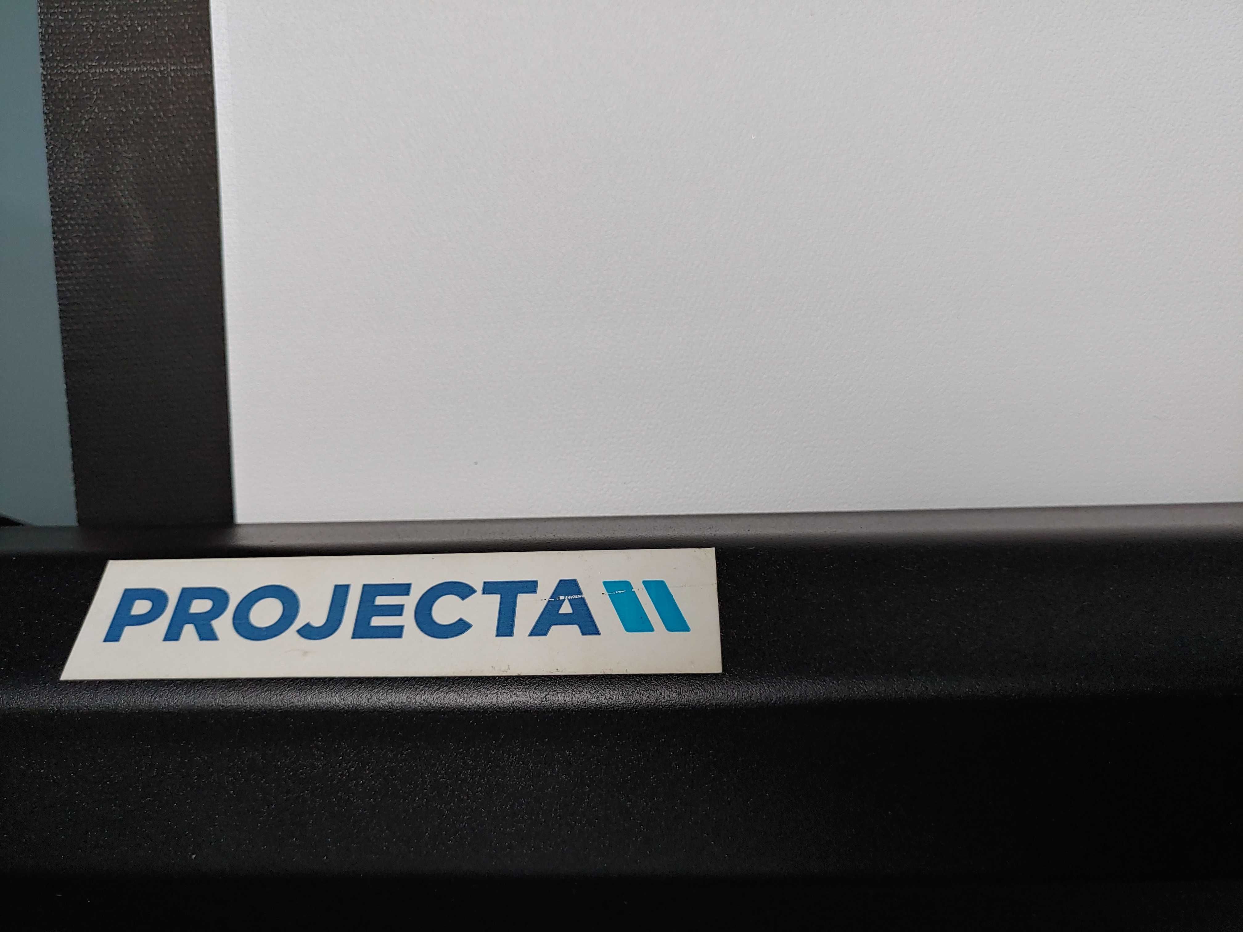Преносим екран PROJECTA Picture King 244 x 244 см.