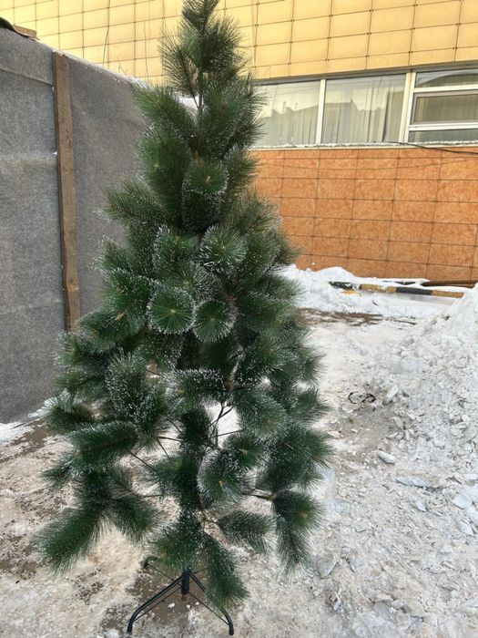 Продам Елку на Новый год