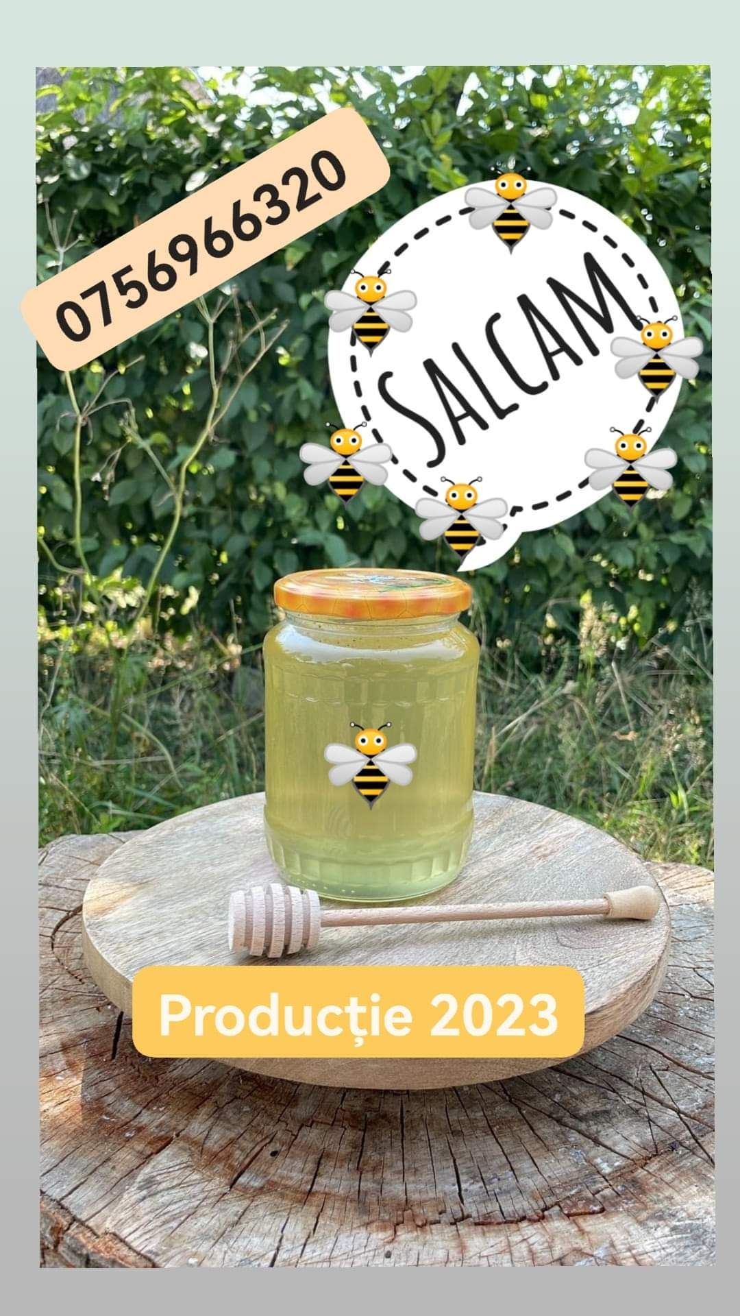 Vând miere de albine din producția 2023