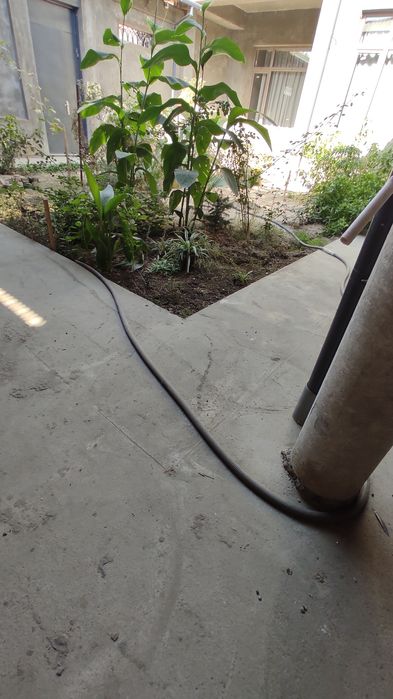 Аренда Юнусабад-8, участок 3 комнаты. 3 сотки земли