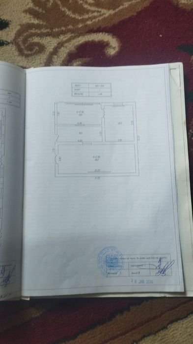 Zangi ota ziyoratgohda 800 metr otganda . uy xolati ortacha